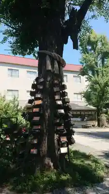 素盞雄神社の絵馬