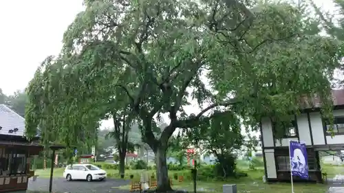 秋保神社の自然