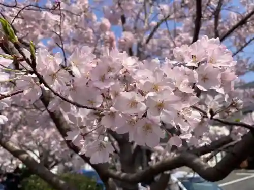 弘明寺(神奈川県)