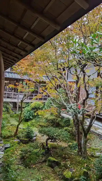 安楽寺(京都府)