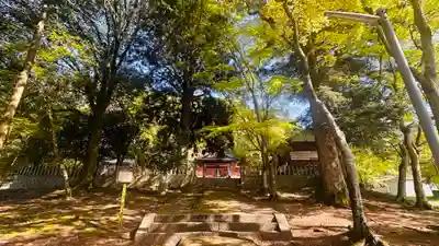 九手神社(京都府)