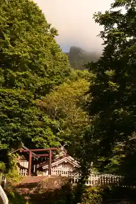 戸隠神社奥社(長野県)