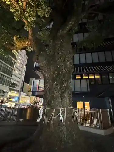 警固神社(福岡県)