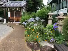 水堂須佐男神社(兵庫県)