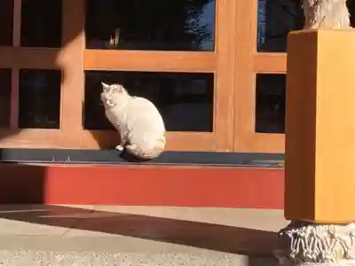 柏諏訪神社(千葉県)
