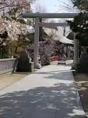 松戸神社の鳥居