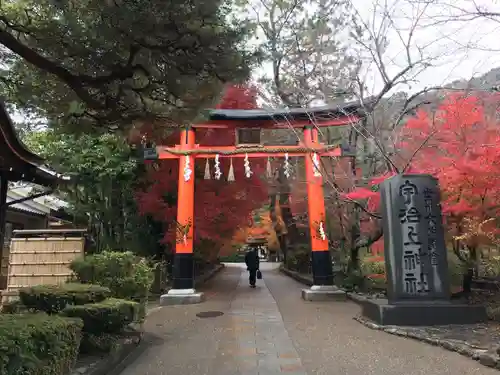 宇治上神社の鳥居