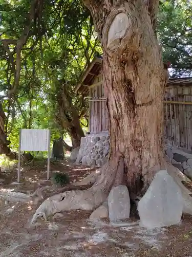 深山神社(福島県)