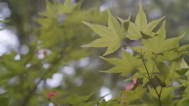 青蓮院門跡(京都府)