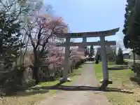 天満宮の{uncategorized: "未分類", other: "その他", undefined: "問題あり", building: "その他建物", grave: "お墓", sacred_gate: "鳥居", guardian: "狛犬", statue: "像", buddha: "仏像", history: "歴史", nature: "自然", garden: "庭園", animal: "動物", pagoda: "塔", temizu: "手水舎", mountain_gate: "山門・神門", sanctuary: "本殿・本堂", subordinate: "末社・摂社", art: "芸術", scenery: "景色", jizo: "地蔵", ema: "絵馬", goshuin: "御朱印", omikuji: "おみくじ", items: "授与品その他", amulet: "お守り", goshuincho: "御朱印帳", eats: "食事", festival: "お祭り", votive_dance: "神楽", shichigosan: "七五三参", wedding: "結婚式", experience: "体験その他", initially: "初詣", around: "周辺", anti_infection: "感染症対策"}