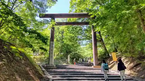 北海道神宮の鳥居