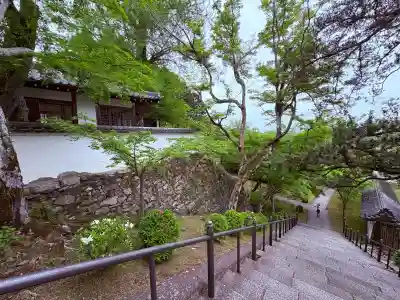 西教寺(滋賀県)