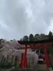 小川諏訪神社の鳥居