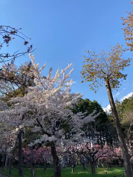 北海道神宮の庭園