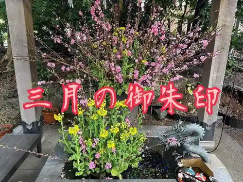 東海市熊野神社の御朱印