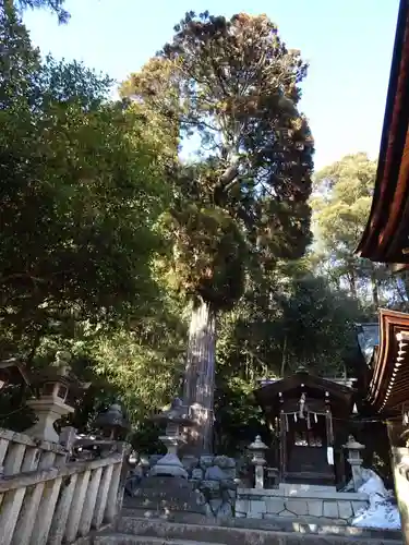 日牟禮八幡宮(滋賀県)