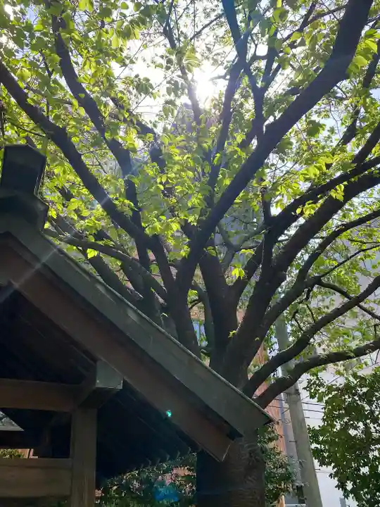 蔵前神社(東京都)