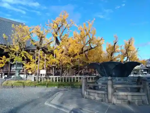 本願寺（西本願寺）のその他建物