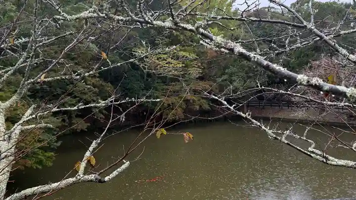 安房神社(千葉県)