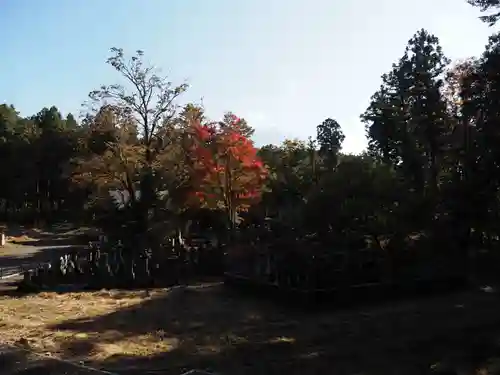 人穴浅間神社の景色