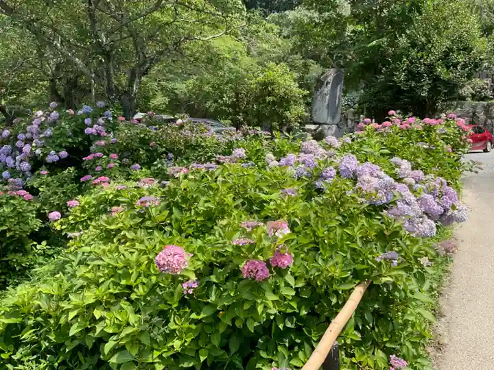 観音寺(京都府)