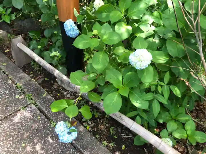 平野神社(京都府)