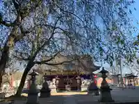 結城諏訪神社の本殿・本堂