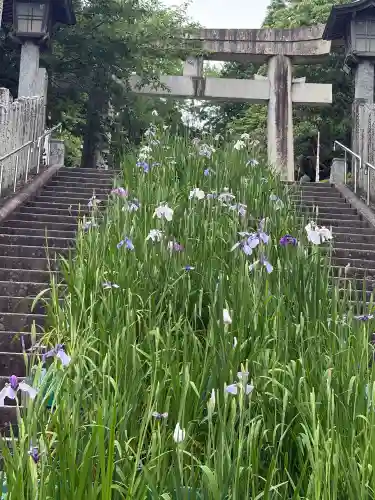 宮地嶽神社(福岡県)