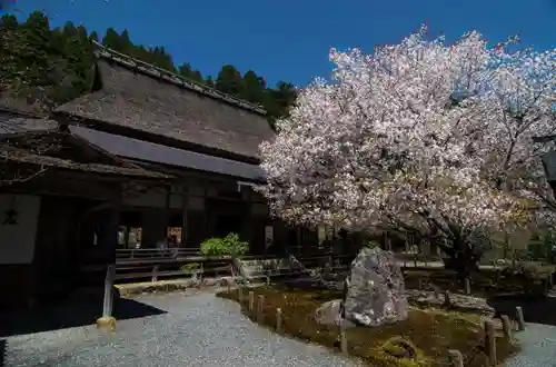 常照皇寺の本殿