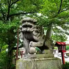 神炊館神社 ⁂奥州須賀川総鎮守⁂の狛犬