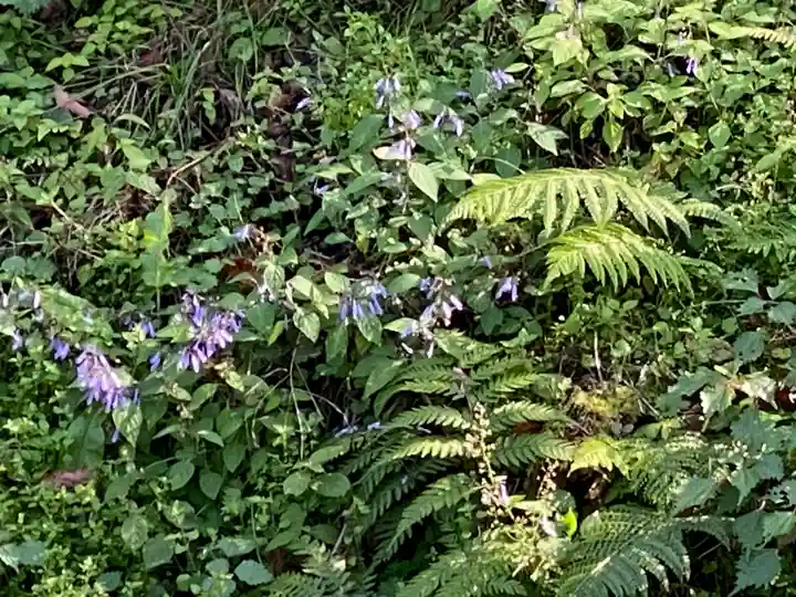 文保寺(兵庫県)