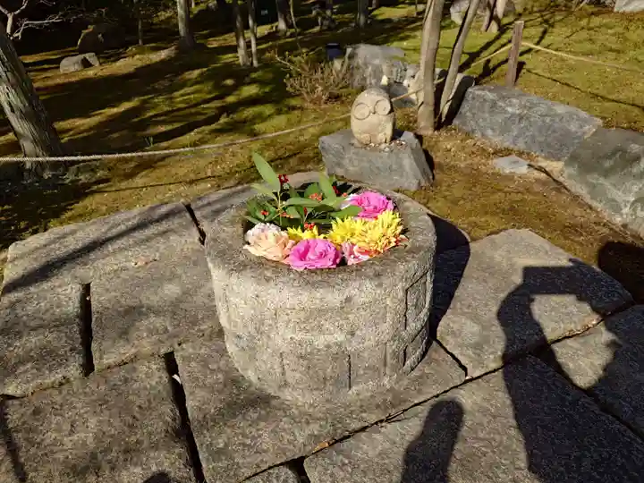 勝林寺(京都府)