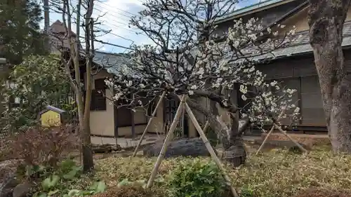 実相寺(東京都)