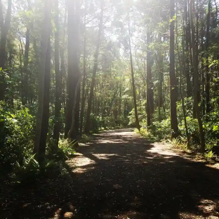 鹿島神宮の自然