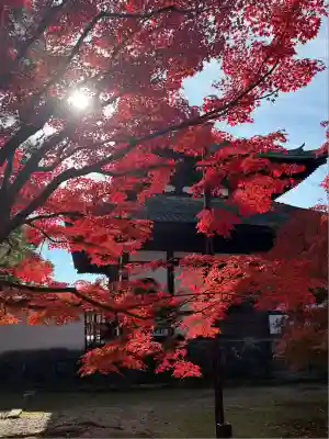 東福禅寺(東福寺)(京都府)