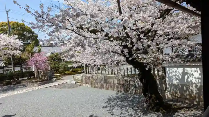 妙顯寺(妙顕寺)のその他建物