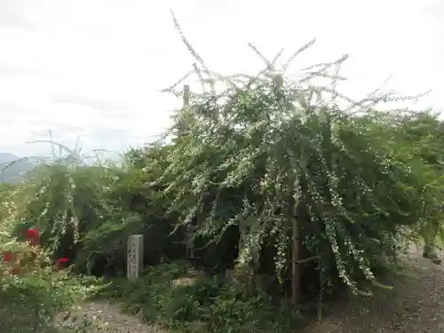 洞昌院(埼玉県)