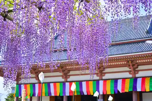 西新井大師総持寺(東京都)