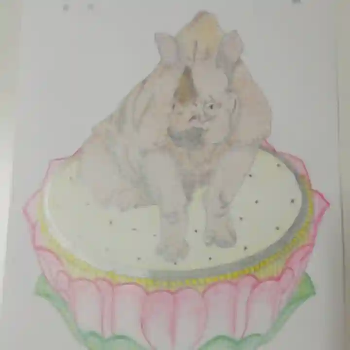 妙心寺の体験その他