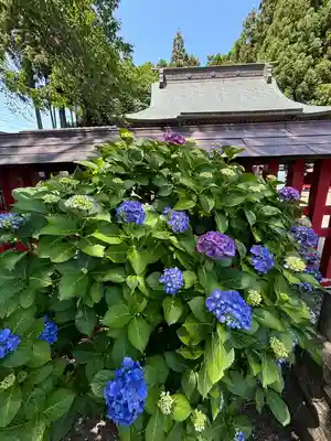 中田神社(宮城県)