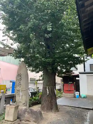 瑜伽神社　(大黒神社、蛭子神社)のその他建物