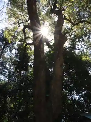 久能山東照宮(静岡県)