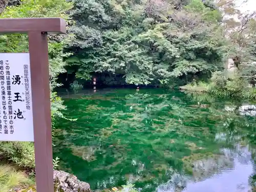 富士山本宮浅間大社の庭園