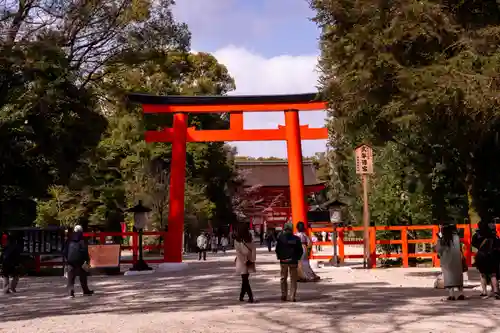 賀茂御祖神社（下鴨神社）の鳥居