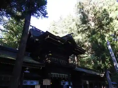 諏訪大社下社春宮(長野県)