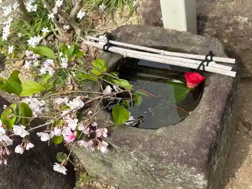 花岳寺の{uncategorized: "未分類", other: "その他", undefined: "問題あり", building: "その他建物", grave: "お墓", sacred_gate: "鳥居", guardian: "狛犬", statue: "像", buddha: "仏像", history: "歴史", nature: "自然", garden: "庭園", animal: "動物", pagoda: "塔", temizu: "手水舎", mountain_gate: "山門・神門", sanctuary: "本殿・本堂", subordinate: "末社・摂社", art: "芸術", scenery: "景色", jizo: "地蔵", ema: "絵馬", goshuin: "御朱印", omikuji: "おみくじ", items: "授与品その他", amulet: "お守り", goshuincho: "御朱印帳", eats: "食事", festival: "お祭り", votive_dance: "神楽", shichigosan: "七五三参", wedding: "結婚式", experience: "体験その他", initially: "初詣", around: "周辺", anti_infection: "感染症対策"}