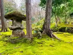 三千院門跡の庭園