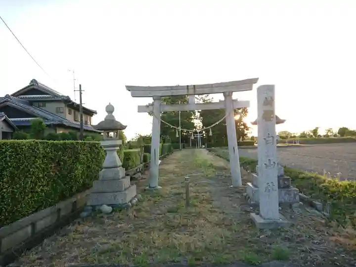 白山社(千代)の鳥居