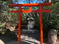 荒井神社の鳥居