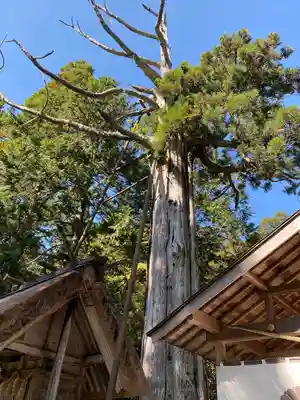 元伊勢内宮 皇大神社(京都府)